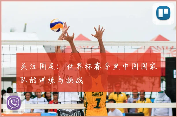 关注国足：世界杯赛季里中国国家队的训练与挑战