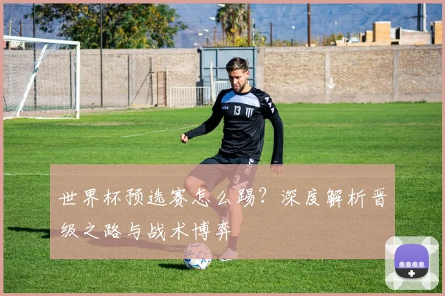 世界杯预选赛怎么踢？深度解析晋级之路与战术博弈