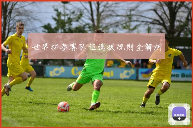 世界杯参赛队伍选拔规则全解析